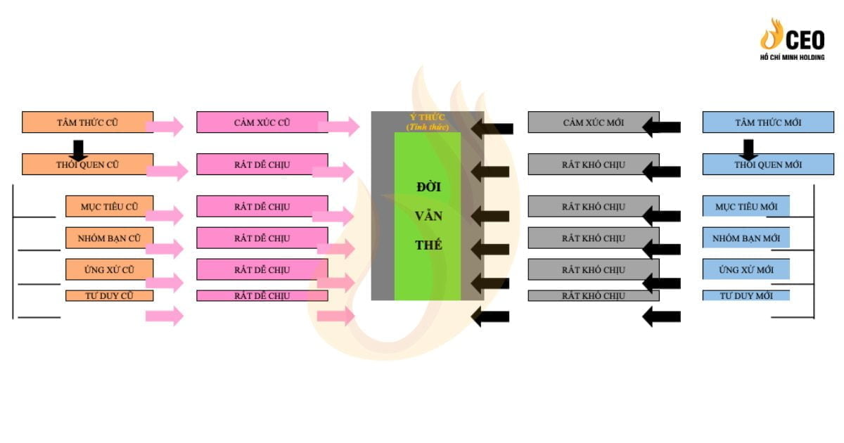 3 yếu tố quan trọng đánh thức tiềm thức con người - CEO Hồ Chí Minh Holding 1 Sơ đồ đánh thức tiềm thức con người