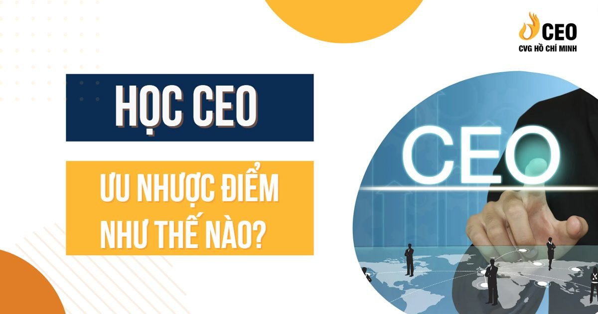 Học CEO ưu nhược điểm như thế nào? 1 hoc-ceo-uu-nhuoc-diem-nhu-the-nao