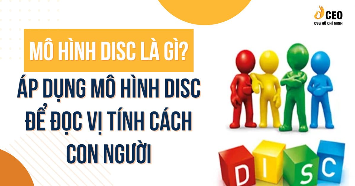 mo-hinh-disc-la-gi-1