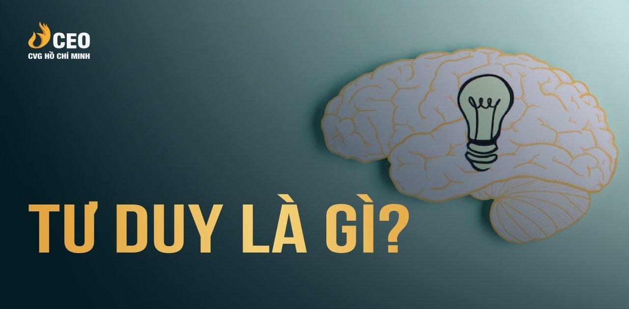 Hiểu Quy Luật Tư Duy Của Bộ Não để Hoàn Thiện Bản Thân 