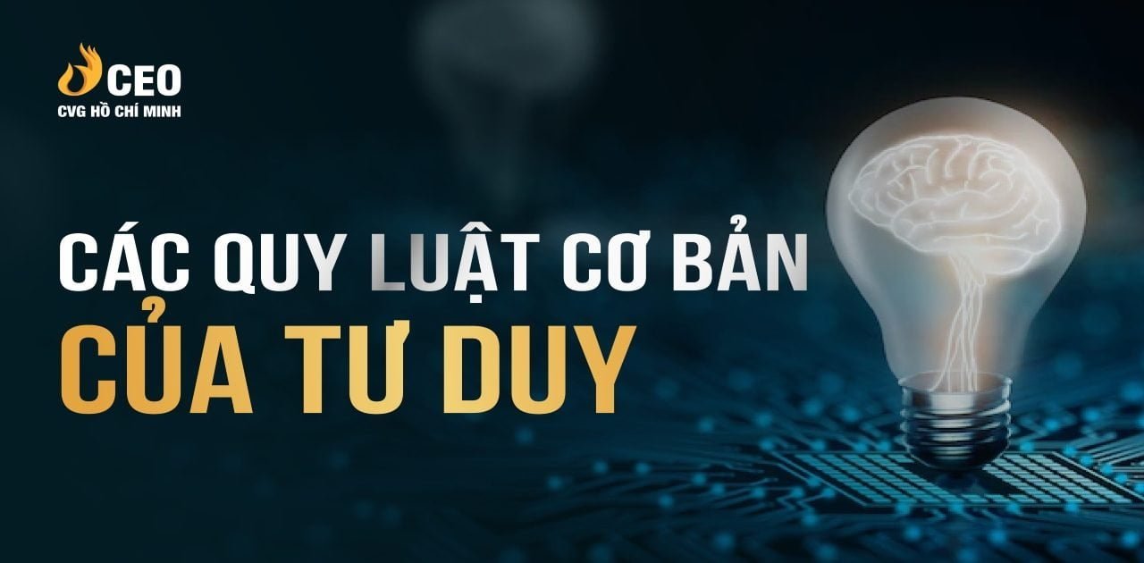 Hiểu Quy Luật Tư Duy Của Bộ Não để Hoàn Thiện Bản Thân 