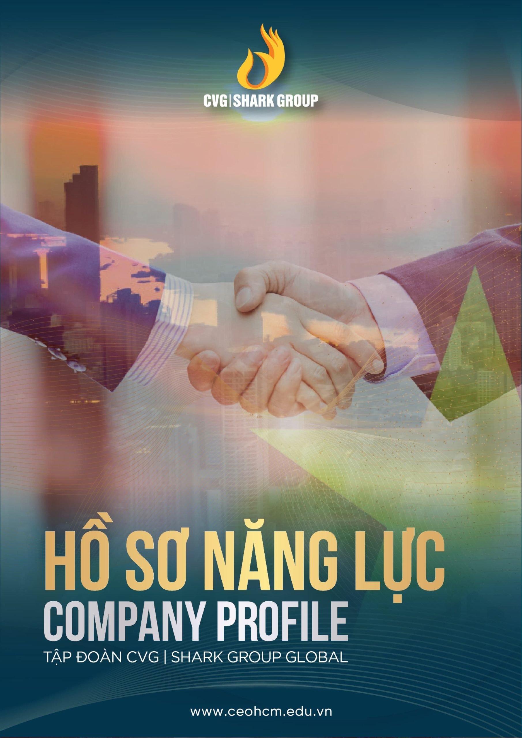 Catalogue Ho So Nang Luc Shark Group 1