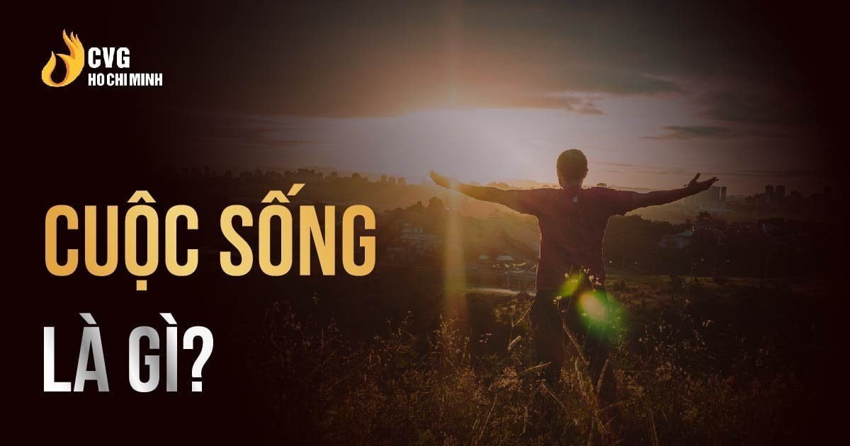 Trả lời 3 câu hỏi này để biết ý nghĩa đời sống là gì