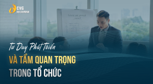 Startup & Đầu tư 12 2