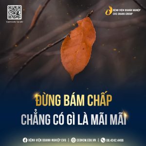 Startup & Đầu tư 10 426563752 888766236591621 3850804199511763895 N